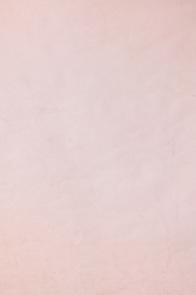 Blush