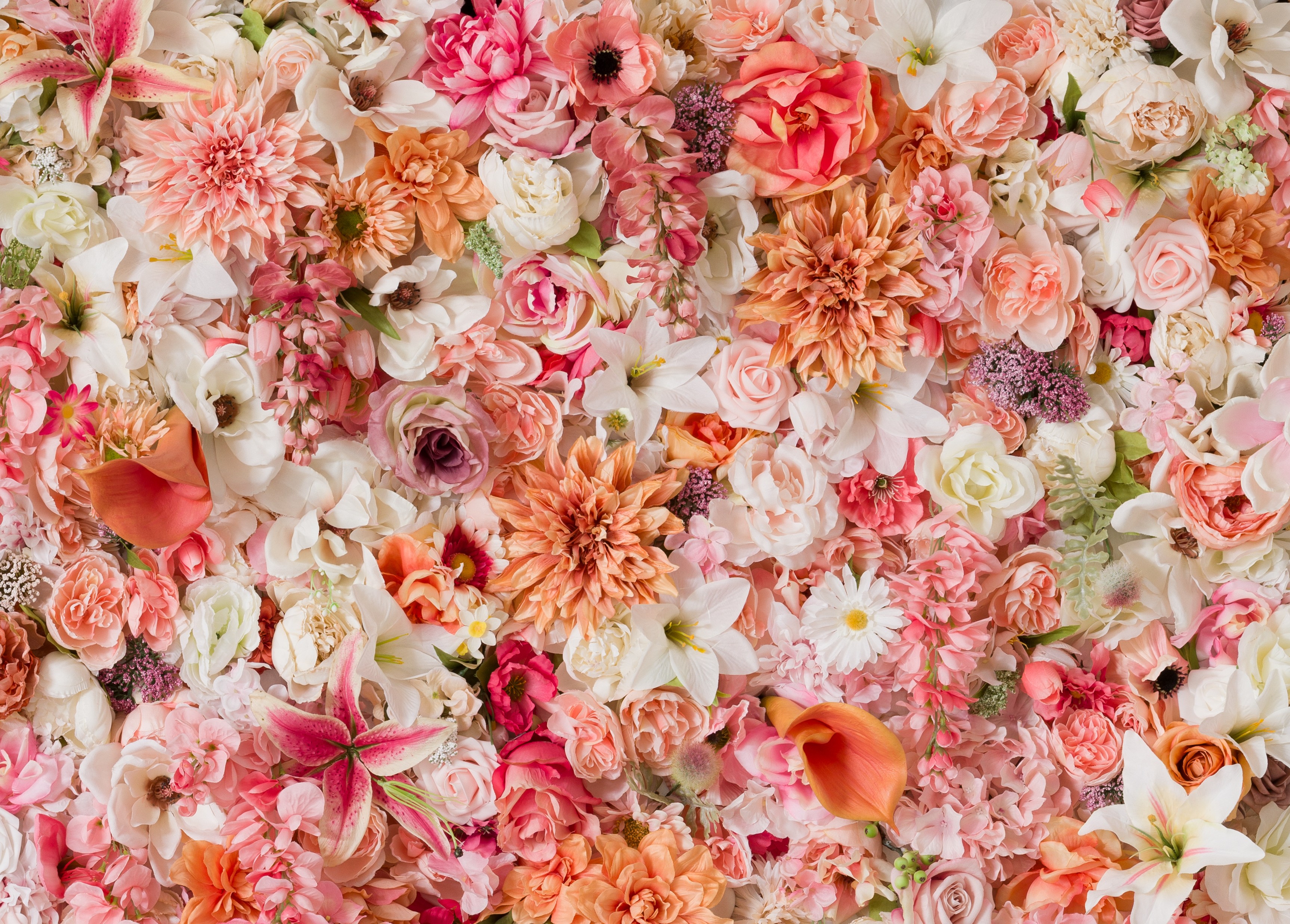 Flower Wall at Vora Dallas